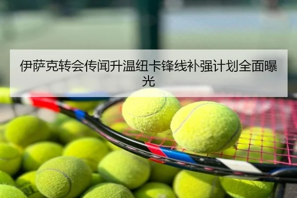 伊萨克转会传闻升温纽卡锋线补强计划全面曝光
